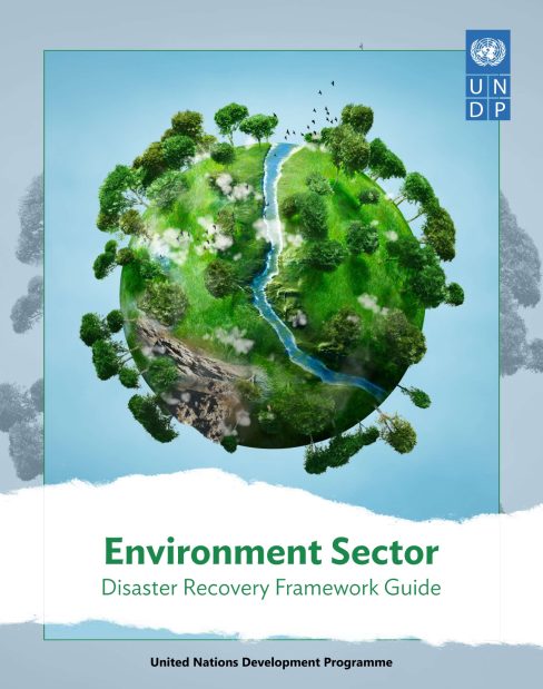 Environment Sector